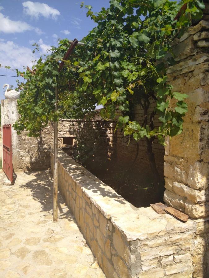 Viduka House Apartman Pridraga Kültér fotó